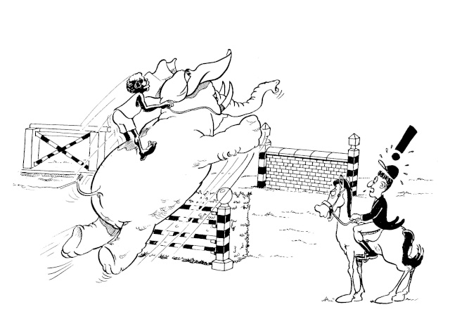 equita10.jpg