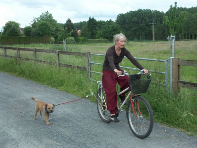 Faire du vélo avec son chien Faire du vélo avec son chien