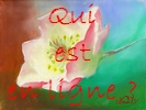 Qui est en ligne ?