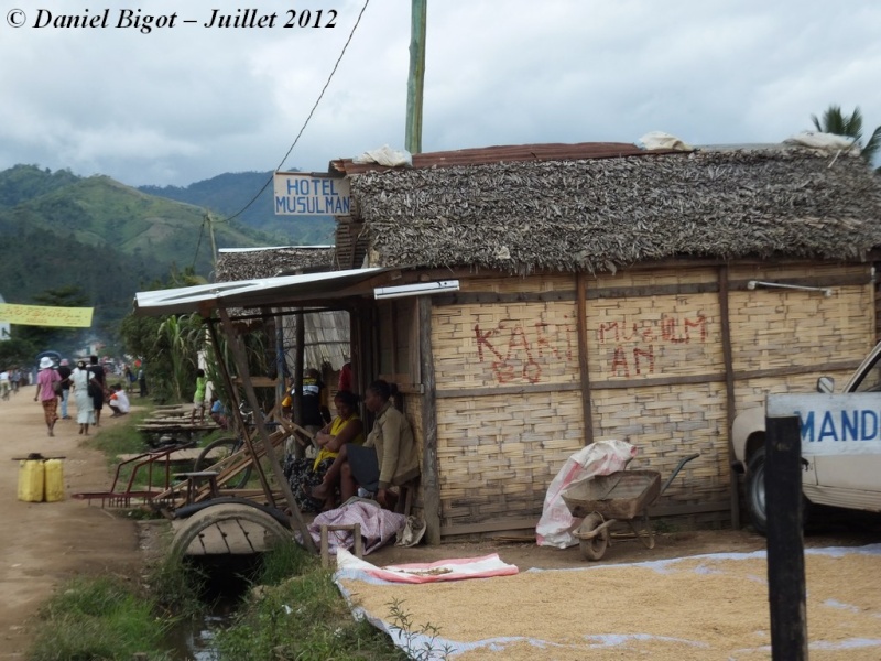 rencontre femme majunga madagascar