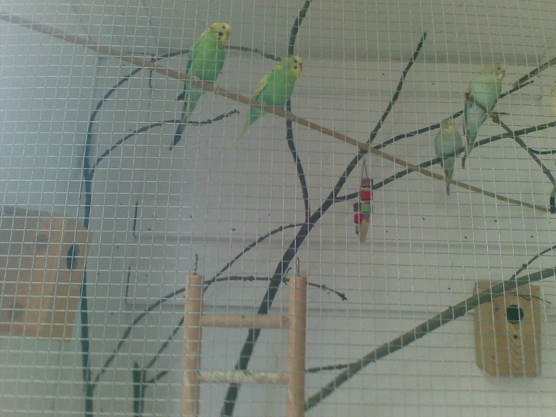 11072010.jpg