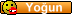 Yoğun Yoğun