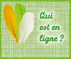 Qui est en ligne ?