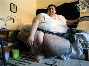 fattest man ever tableau