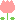 ( ^_^ ) ( ^_^ )