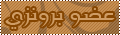 عضو برونزى عضو برونزى