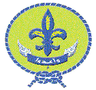المتواجدون الآن ؟