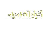 كبار الشخصيات كبار الشخصيات