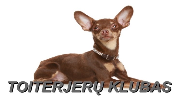 Toiterjerų mėgėjų klubas