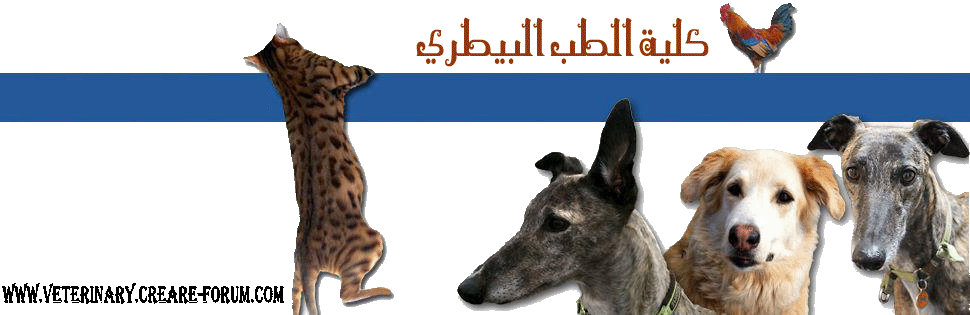 منتدى كلية الطب البيطري