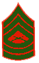 Sergent Major R.P.I.A Sergent Major R.P.I.A