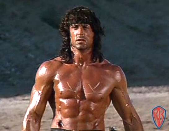 50+ Sylvester Stallone Rocky 2 Physique Pictures