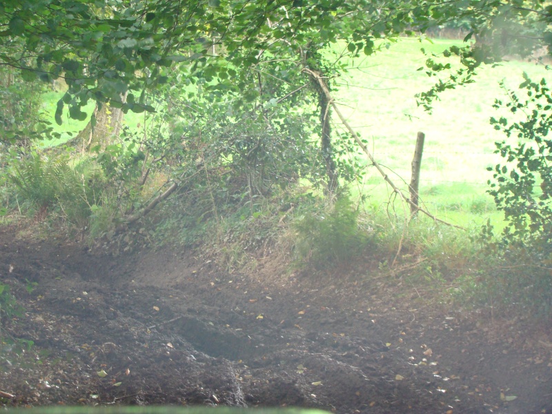 4x4_0310.jpg
