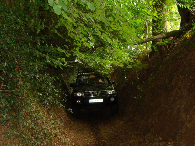 4x4_0413.jpg