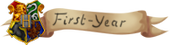 First Year First Year