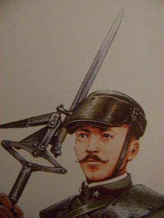 arditi13