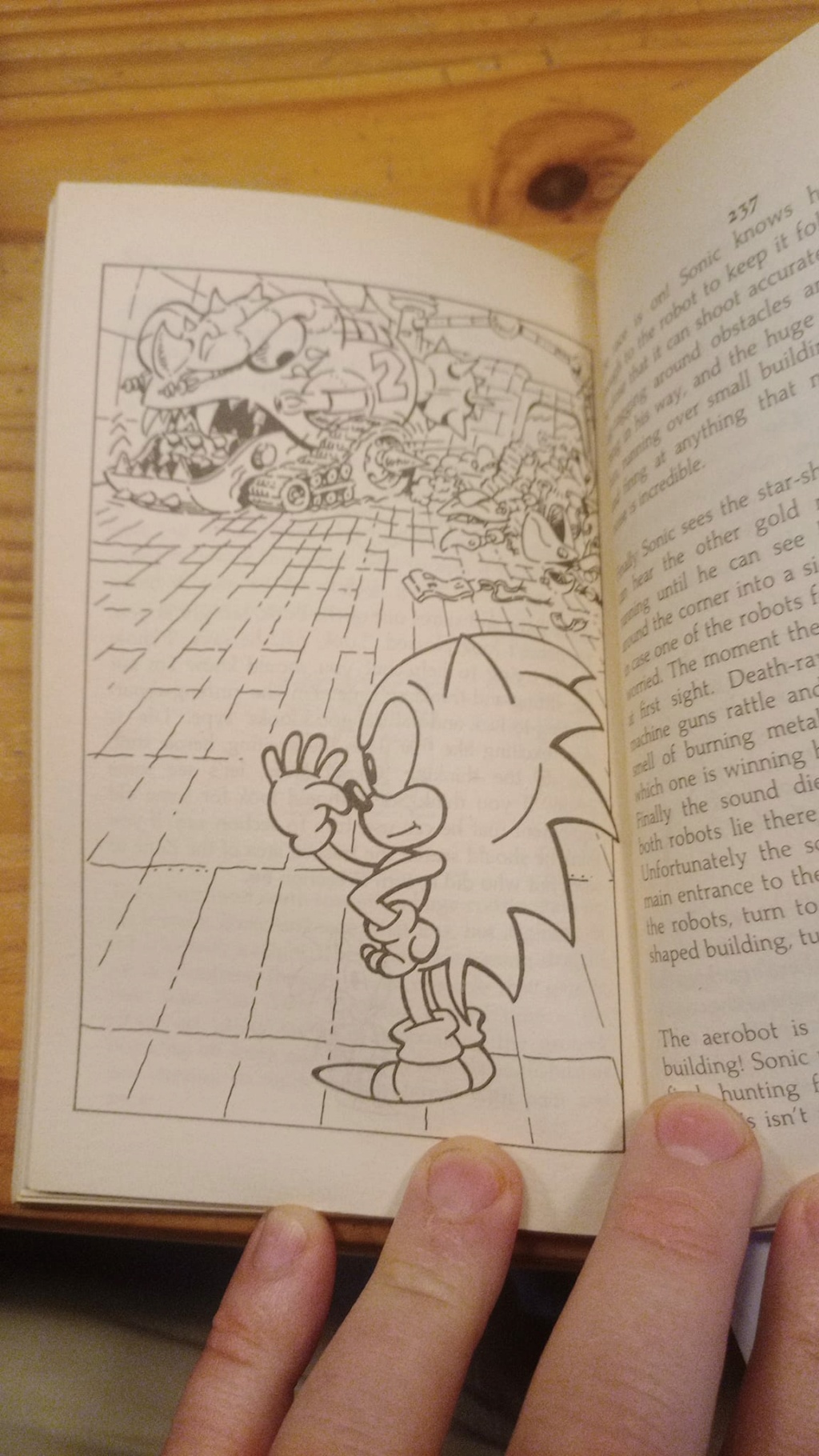 46010510.jpg