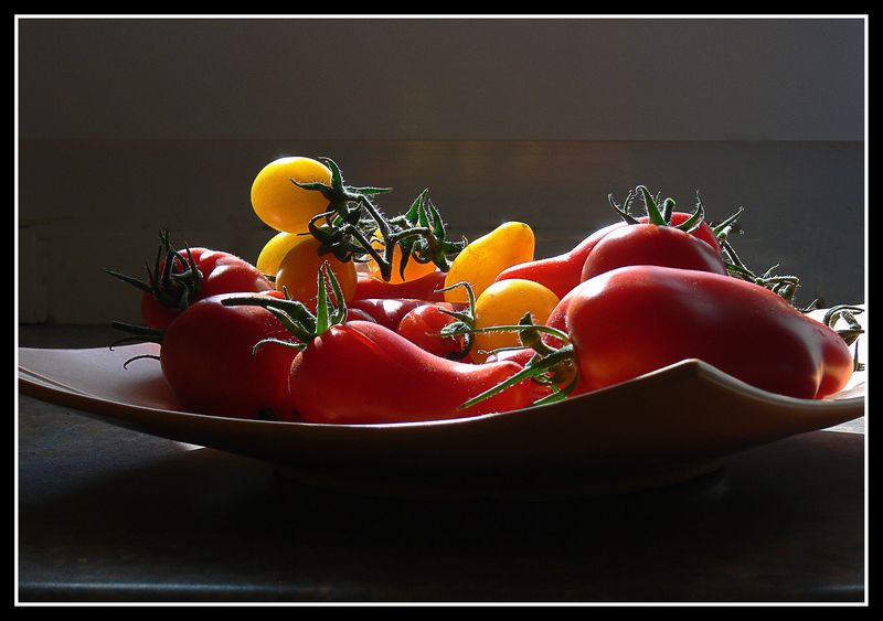 tomate11.jpg