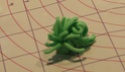http://i45.servimg.com/u/f45/16/15/12/66/th/herbe_11.jpg