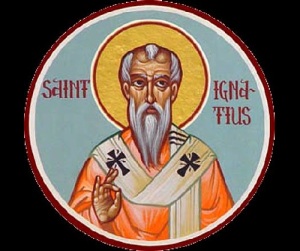 https://i45.servimg.com/u/f45/19/63/27/23/204310.jpg