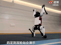 https://i45.servimg.com/u/f45/19/63/27/23/9d3c8210.jpg
